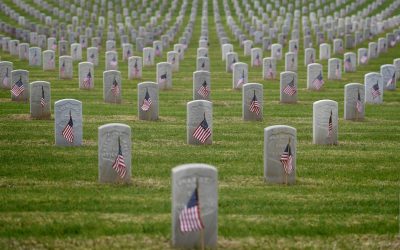 Salute to Those Who Gave All